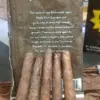 royal-honey-turkey-backwoods-cigars-8-packs-x-5-cigars